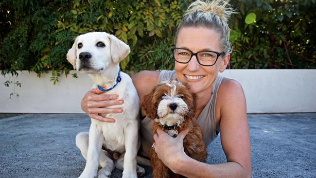 Amy Smith with some of her doggie pupils. Adam Yip/ Manly Daily