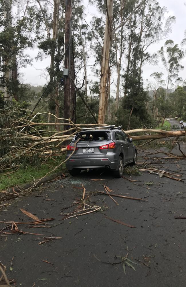 Storm damage on Kaola St in Belgrave. Picture: Sharon McGowan