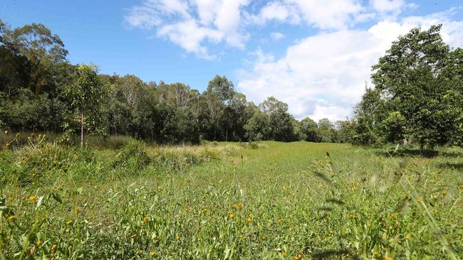 Overgrown fairways at North Lakes Golf Course in Queensland. Pics Tara Croser.