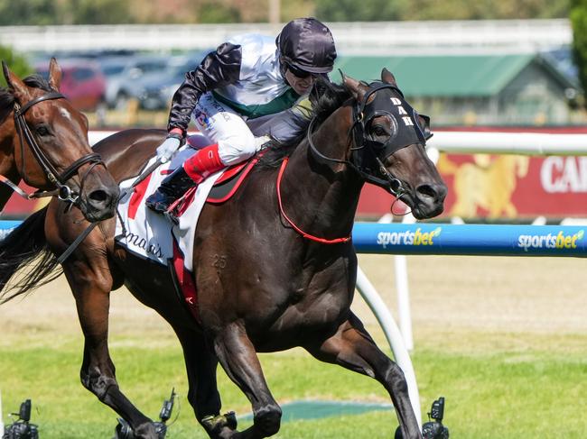 Mr Brightside (NZ) ridden by Craig Williams wins the Lamaro's Hotel Futurity Stakes at Caulfield Racecourse on February 22, 2025 in Caulfield, Australia. (Photo by George Sal/Racing Photos via Getty Images)