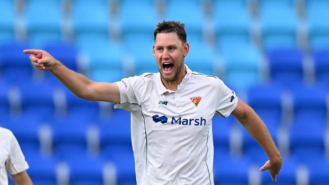 Tasmanian all-rounder Beau Webster produced a record-breaking summer for the Tigers last season. (Photo by Steve Bell/Getty Images)