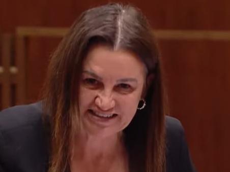 Jacqui Lambie has attacked the election donations Bill, saying she wouldn't be in the Senate without the support of Clive Palmer. Picture: Supplied