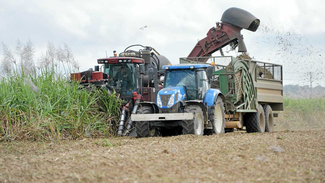 Cane growers are concerned with the way they see the industry going. Picture: Tony Martin