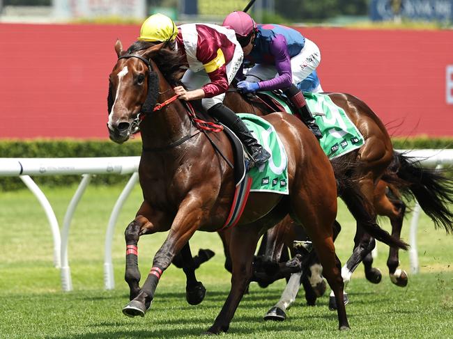 SYDNEY, AUSTRALIA - DECEMBER 28: Mitch Stapleford riding Sir Remlap wins Race 2 TAB Highway Handicap during Sydney Racing at Royal Randwick Racecourse on December 28, 2024 in Sydney, Australia. (Photo by Jeremy Ng/Getty Images)