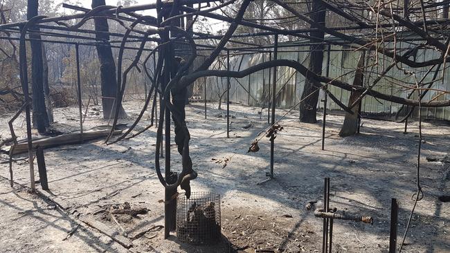 The sanctuary in 2020, after the devastating fires tore through …