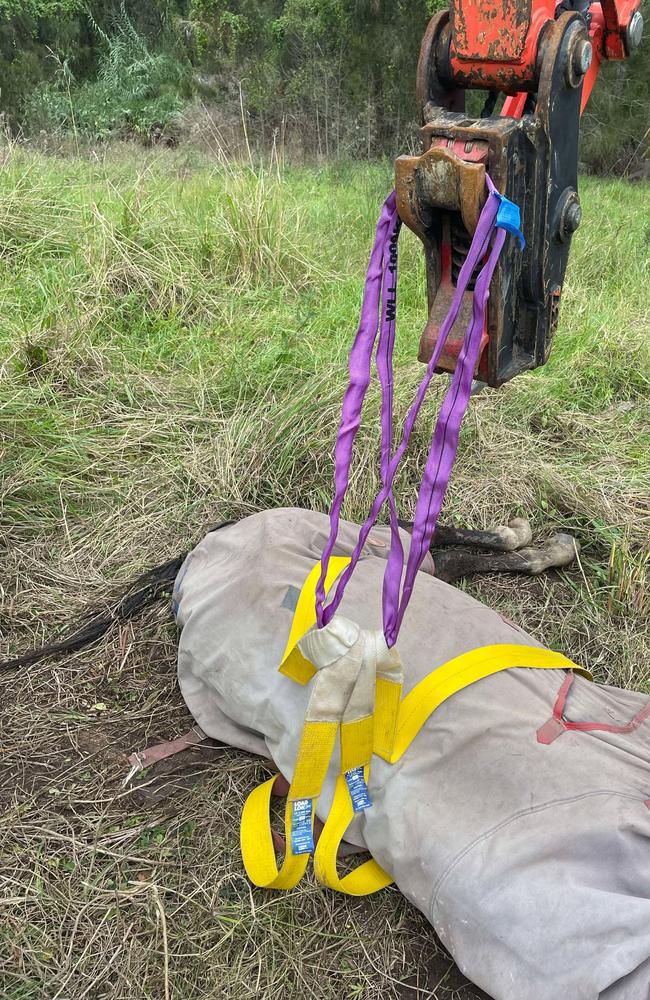 Special straps and slings for large animal rescues were attached to an excavator to rescue an old racehorse at Taree on Wednesday June 4, 2025.