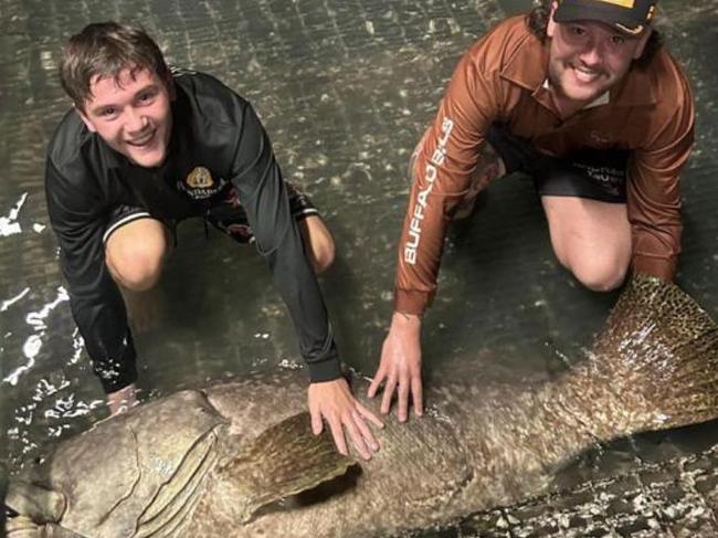 17-year-old Nate Jaensch (left) was fishing at the popular Mandorah Jetty with his brother and three friends when he reeled in a massive goliath grouper, thought to be at least 160cm long. Picture: Supplied