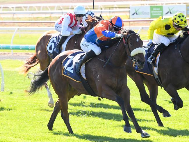 Grinzinger Pod ridden by Lachlan King wins the Dunlop Pitson & Jenkins Civil 2YO Maiden Plate at Bendigo Racecourse on May 22, 2024 in Bendigo, Australia. (Photo by Brett Holburt/Racing Photos via Getty Images)