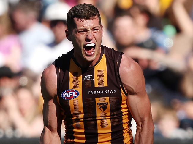 Lloyd Meek celebrates a Hawthorn goal. Picture: Mark Stewart