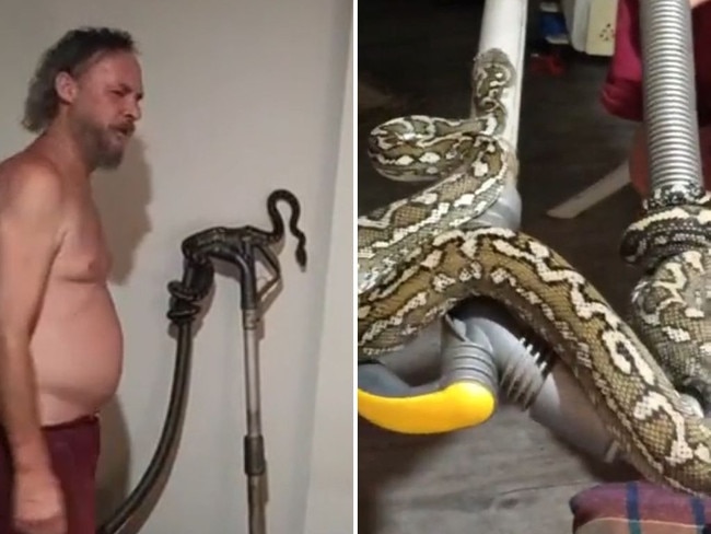 A Brisbane man removes a python wrapped around a vacuum cleaner while he wife watches on.