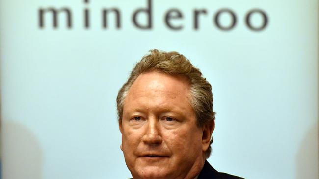 Business brain: Mining and farming giant Andrew 'Twiggy' Forrest.