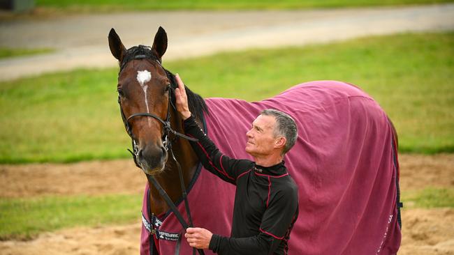 MELBOURNE, AUSTRALIA - OCTOBER 14: The Aidan O'Brien trained Jan Brueghel poses with Dean Gallagher during trackwork session at Werribee International Horse Centre on October 14, 2024 in Melbourne, Australia. Jan Brueghel is the current Melbourne Cup Favourite. (Photo by Vince Caligiuri/Getty Images)