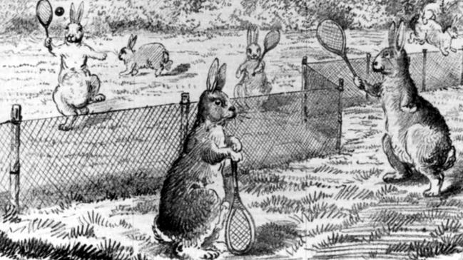 An 1884 newspaper cartoon about a proposal for a rabbit proof fence in New South Wales.