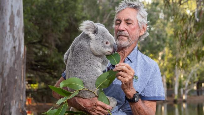 Billabong Sanctuary owner Bob Flemming with Maluka, a 4-year-old koala Picture: Cameron Laird