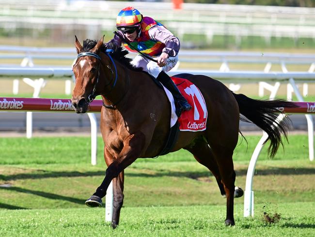 Tiger Shark dashes away to win the QTIS 3YO Handicap at Doomben under Damien Thornton. Picture: Grant Peters - Trackside Photography