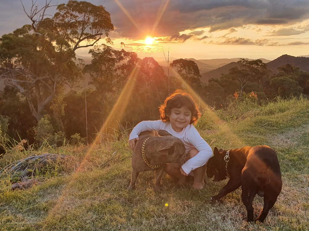 Little Adelynn is settling into Whitsunday life with her family as authorities continue to search for her mother Tahnee Shanks who went missing in Mexico a fortnight ago.