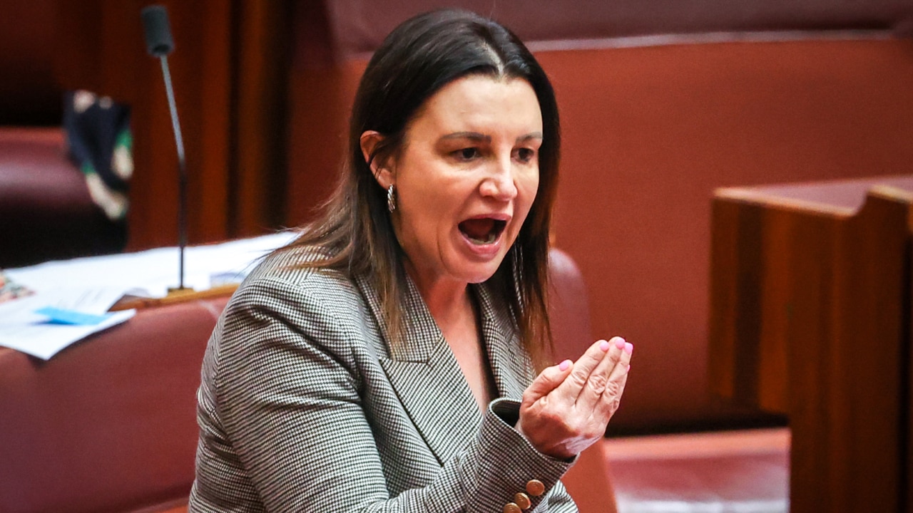 ‘You should be ashamed’: Jacqui Lambie savages big business profits