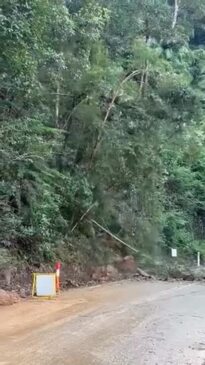 Deadly rockslide at Springbrook on the Gold Coast