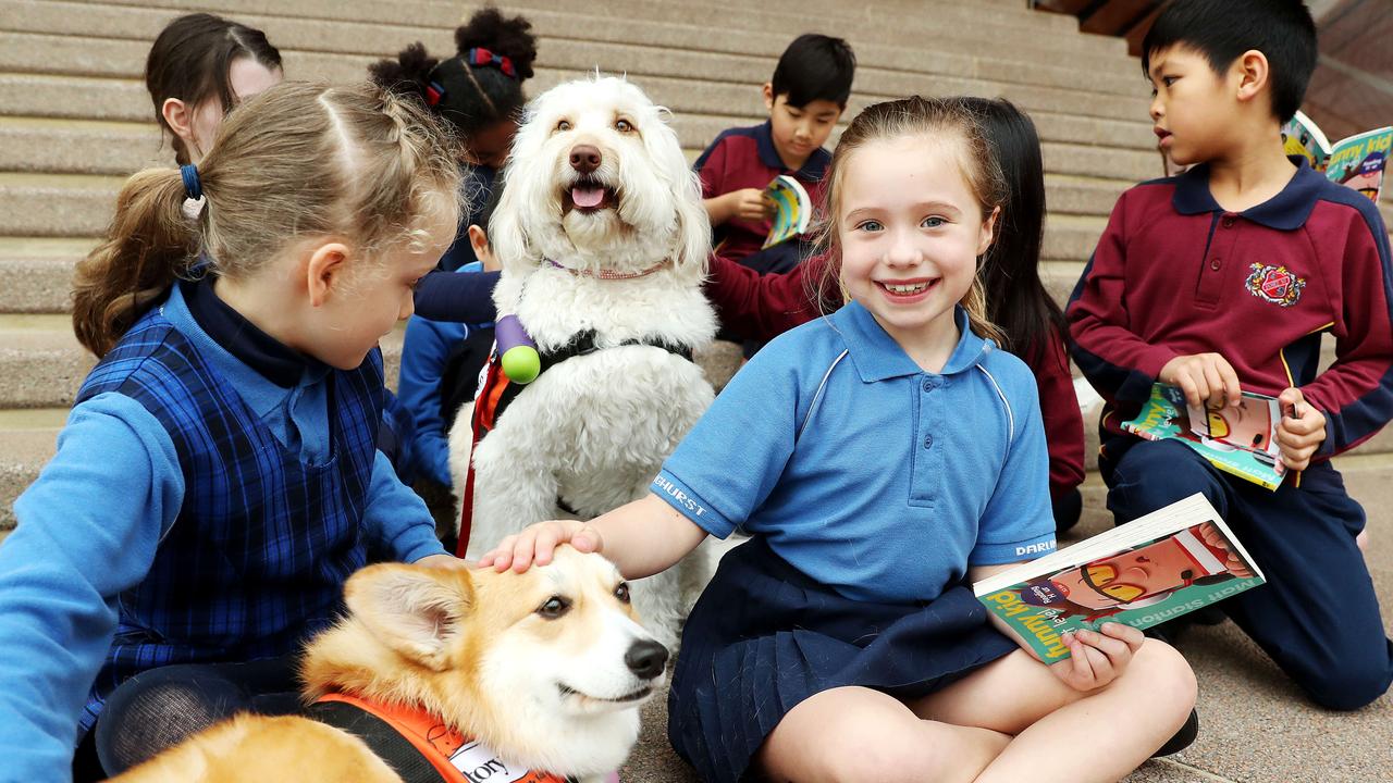 Australian Reading Hour 2019: Discover The Joy Of Reading 