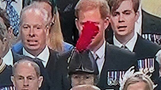 Prince Harry behind Princess Anne's hat.