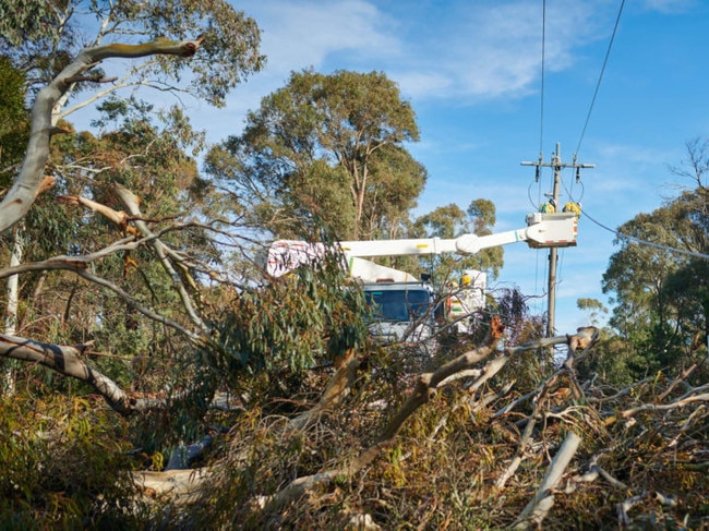 Trees down in Victoria today supplied by PowerCor