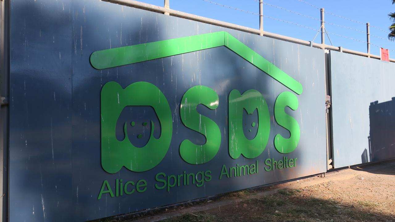 The gates to the Alice Springs Animal Shelter. Picture: Gera Kazakov