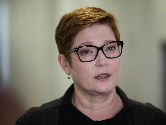 Marise Payne. Picture: Sean Davey.