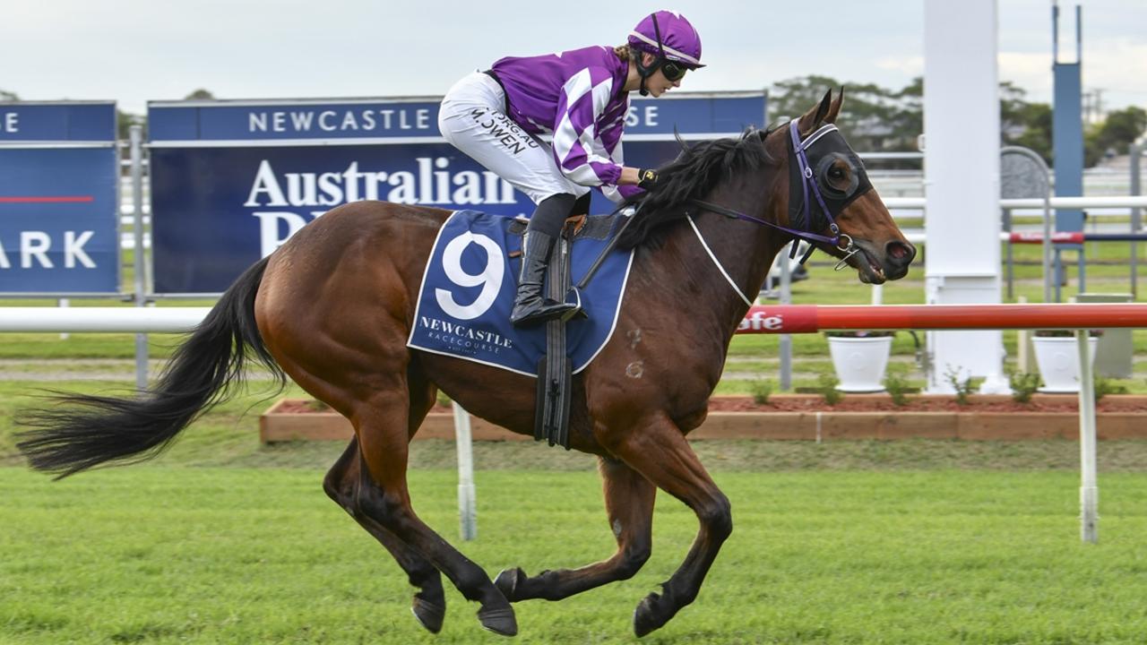 Taree horse racing tips for Sunday, June 9, 2024 | The Advertiser