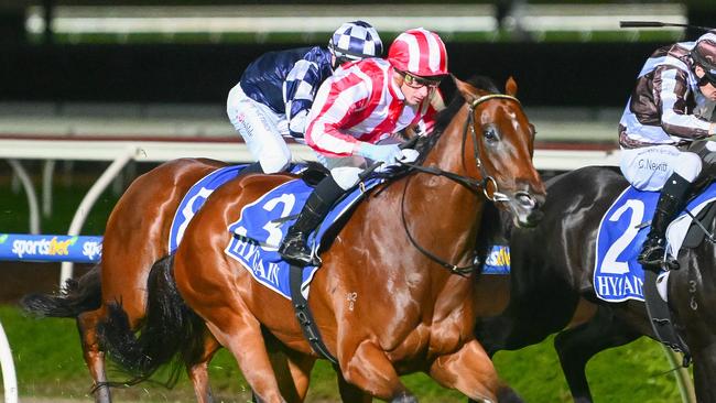 Prowling wins at Pakenham last year. The Greg Eurell-trained gelding has a great winning chance at double figure odds at The Valley on Saturday. Picture: Morgan Hancock / Racing Photos