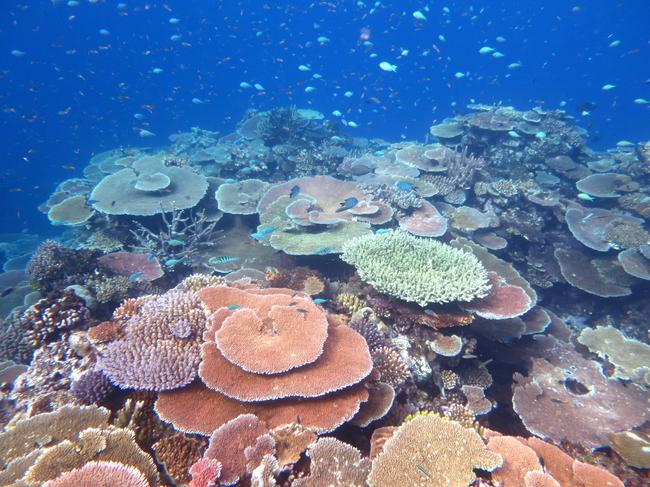 Pictures for the AIMS Annual Summary Report on the Great Barrier Reef.