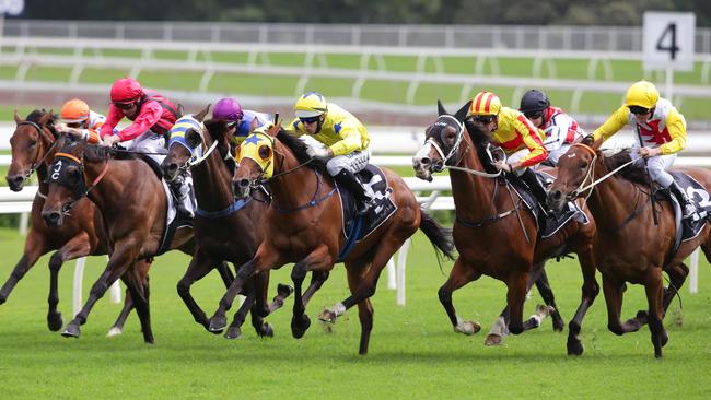 Horse and jockey welfare is paramount for Racing NSW.