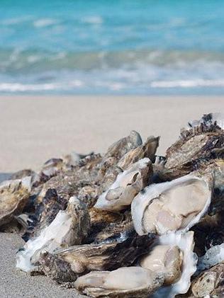 Kangaroo Island oysters.