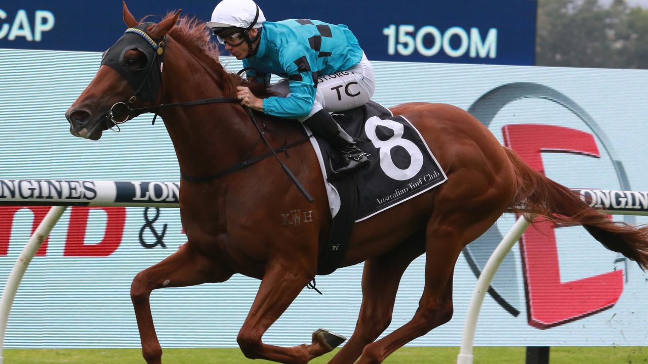 Ellesberg winning at Rosehill. Photo: Grant Guy