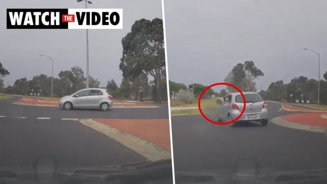 Shock moment pet dog falls from car