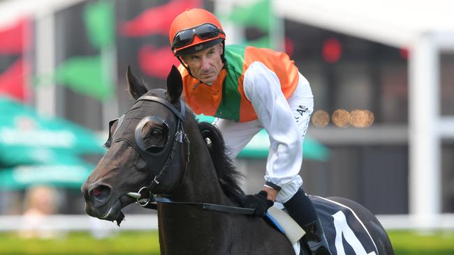 Morton's Fork, who won the Christmas Cup in 2019, will be retired after he contests the Jericho Cup on Sunday. Picture: AAP