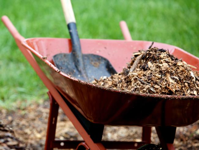 There are a range of mulches to choose from.