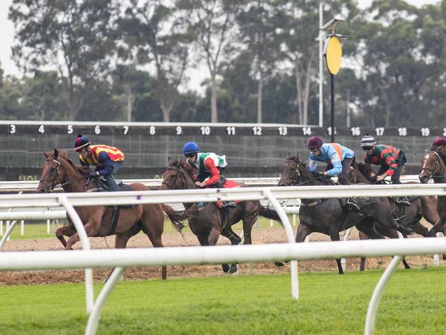 30th January 2023. The Daily Telegraph. Sport. Racing.Warwick Farm, Sydney, NSW, Australia.Pictures from the first Barrier Trial at Warwick Farm racecourse this morning where winners of an extraordinary $50 million prize money took part in what was billed as the best barrier trial ever in Sydney racing.The race included eight Group 1 winners.Picture shows ÃNature StripÃ ridden by Kerrin McEvoy and trained by Chris Waller winning the trial.