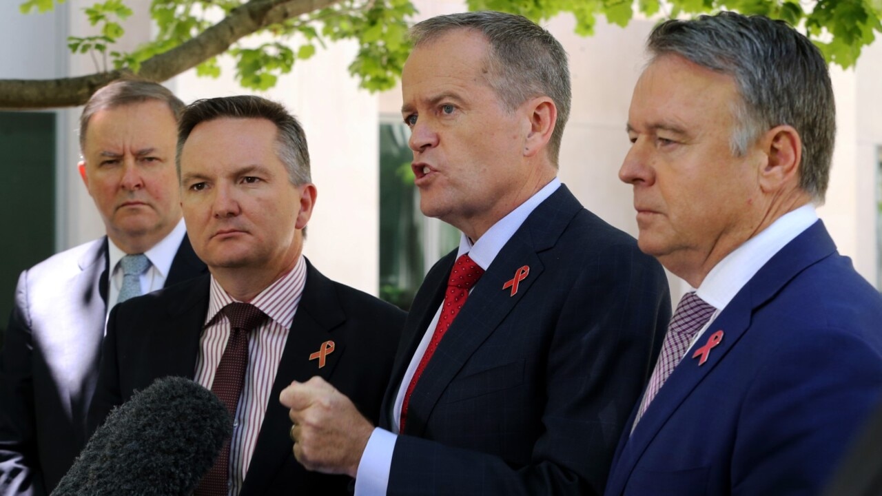 Fitzgibbon not Shorten would be ‘making Albanese nervous’