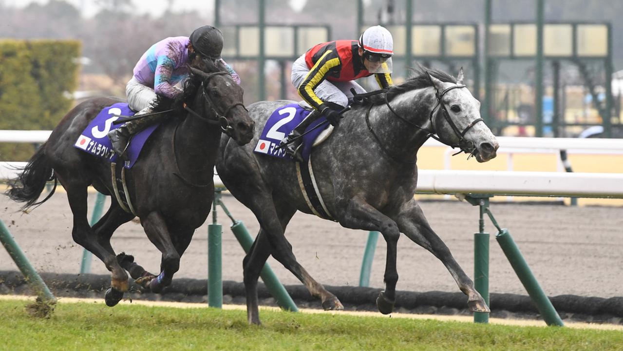 Mad Cool (2) closes in on a victory over Namura Clair in the 54th Takamatsunomiya Kinen at Chukyo Racecourse.