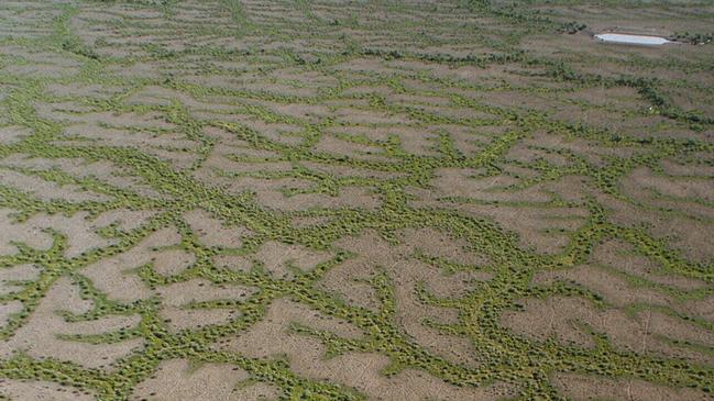 Aerial of the Cooper Creek flood plain at Tanbar Station. aerials qld outback rivers and creeks