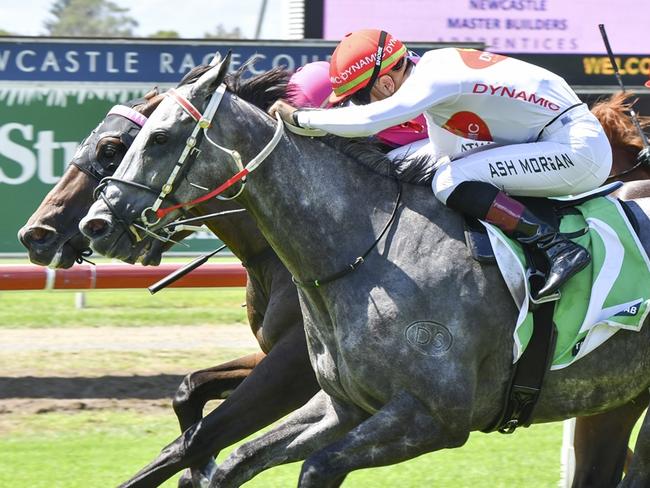 Jack Duggan winning at Newcastle in February. Picture: Bradley Photos