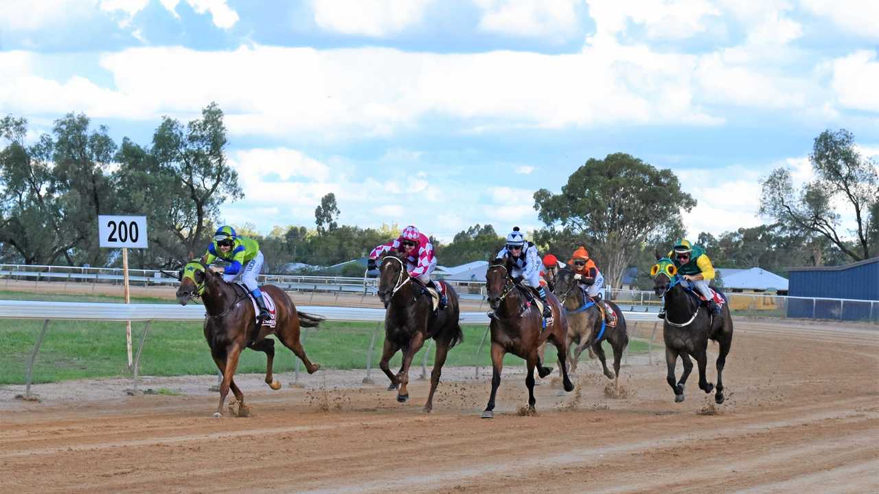 Coming down the home straight in Race 1 at the Roma Picnic Races. Picture: Jorja McDonnell