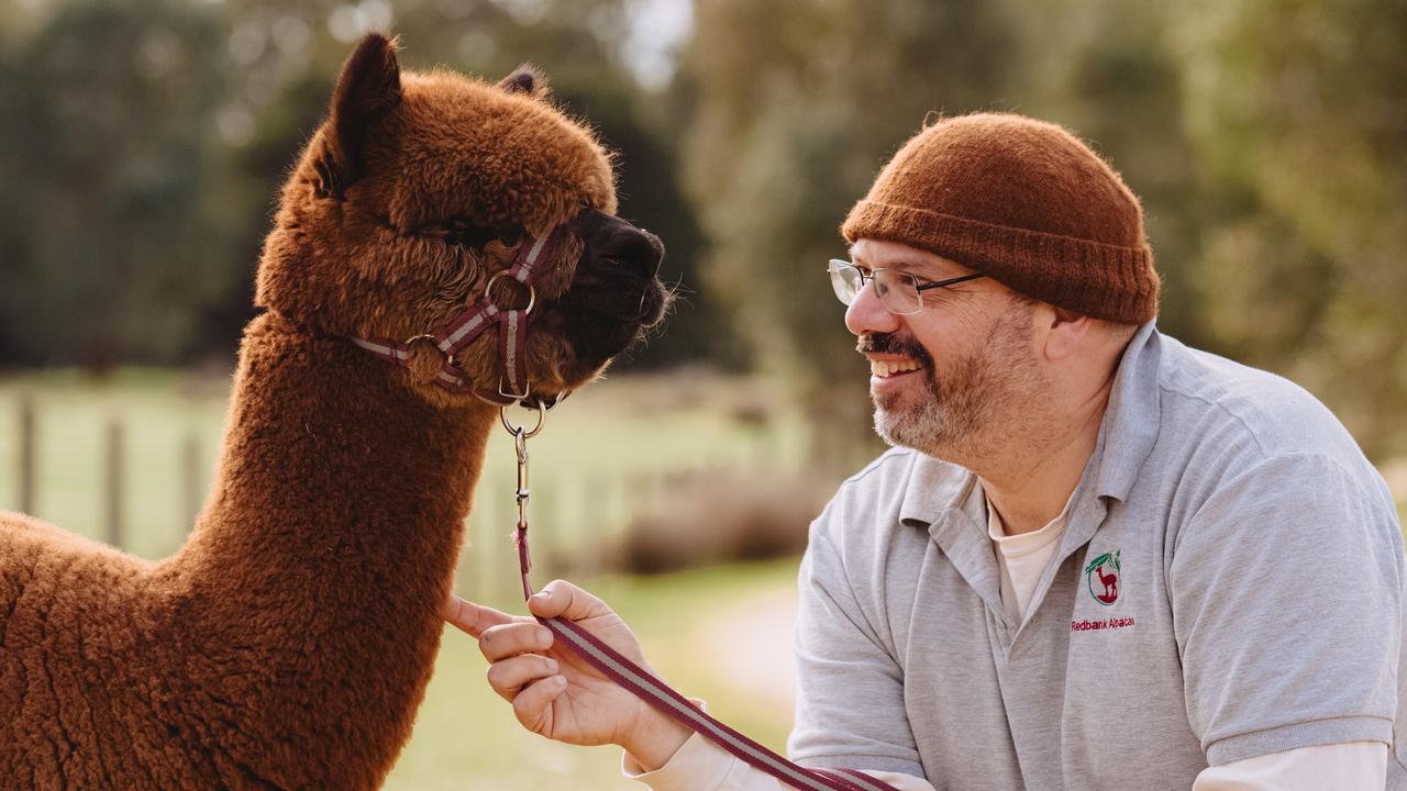 Photos: Blue Gum Rise alpaca farm at Redbank | The Weekly Times