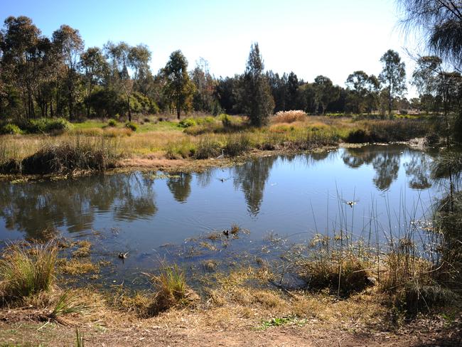 Cases of Buruli ulcer, which can be so severe that patients lose limbs, are on the rise in parts of regional Victoria.