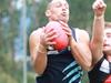 Straight-shooting Silvan star snags 10