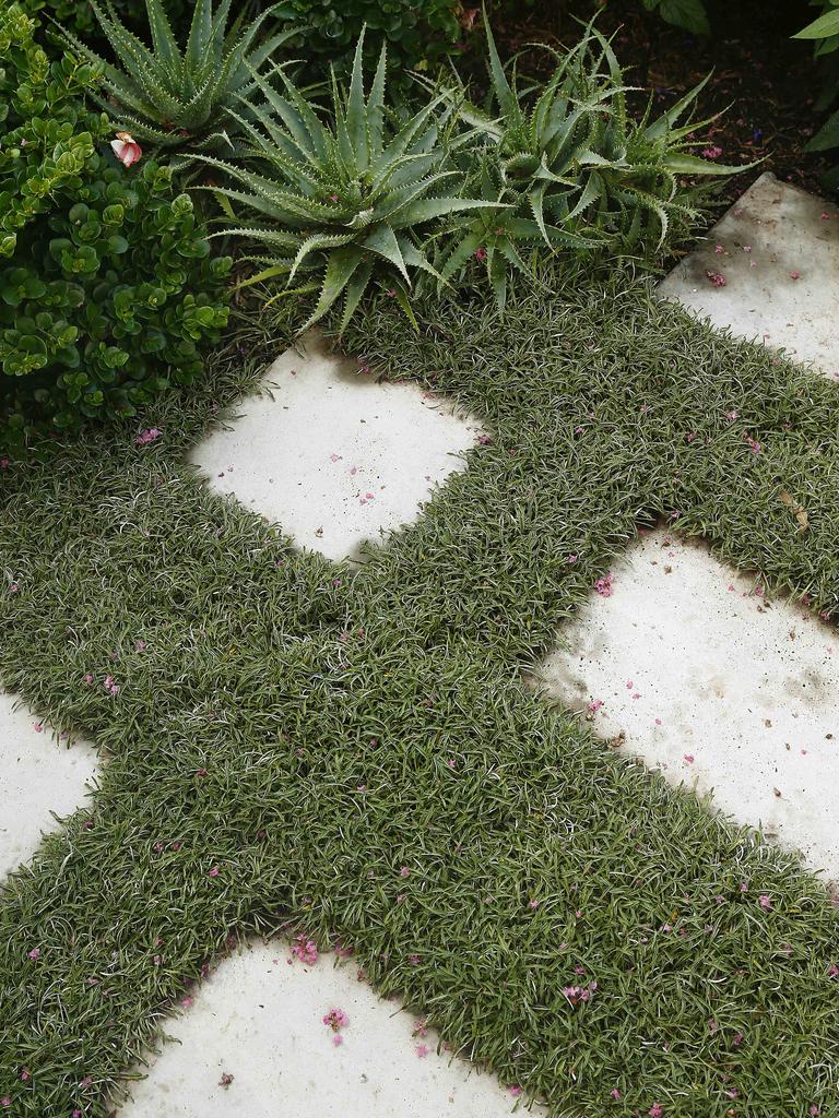 Front Garden at Bronte designed by Landscape Gardener Hugh Main From Spirit Level Design. Picture: John Appleyard