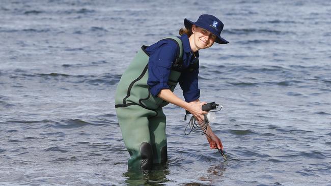 Derwent Estuary Program catchment scientist Bernadette Proemse is pictured at Sandy Bay's dog beach testing the water ahead of summer. Picture: MATT THOMPSON