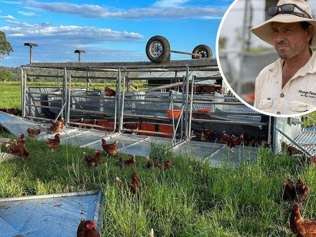 The Mary Valley chicken farm which was hit by a mini tornado. Photo: Supplied