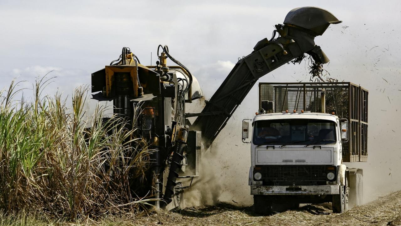 The biggest sugar cane grower in Australia - Bundaberg Sugar - is reportedly looking for a buyer, citing a rebound in global sugar prices.