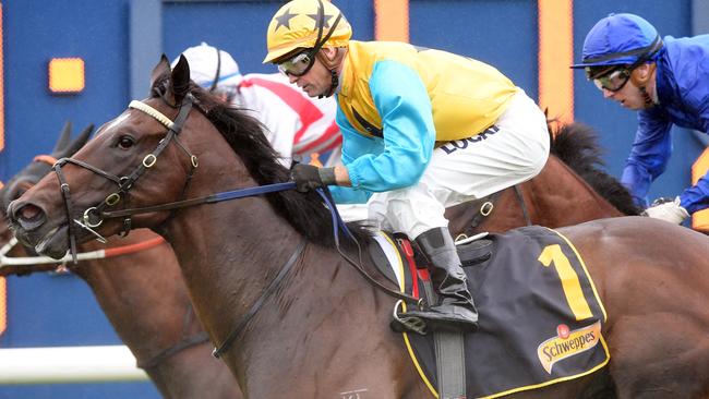 Diamond Tathagata win the Skyline Stakes for Mark Newnham earlier this year.